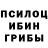 Галлюциногенные грибы Psilocybe serg0576