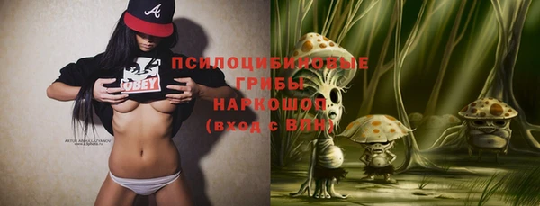 ECSTASY Вяземский