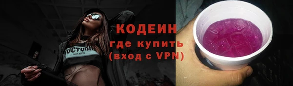 прущие грибы Вязники