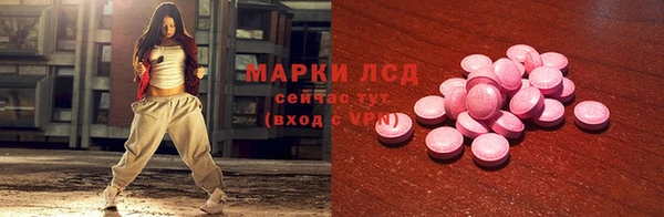 ECSTASY Вяземский