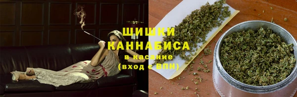 ECSTASY Вяземский