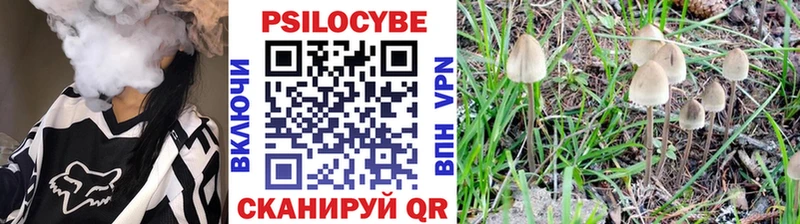 ОМГ ОМГ ссылки  Чишмы  Галлюциногенные грибы Psilocybe  сколько стоит 